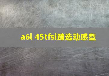 a6l 45tfsi臻选动感型